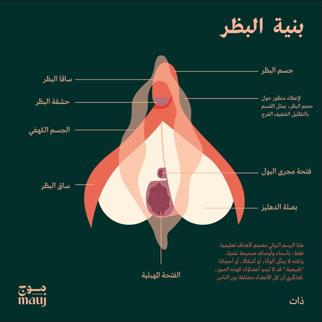 Mauj Clitoris diagram_labelled